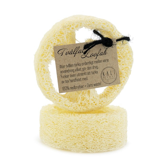 Loofah Sponge